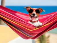 Salon dicht wegens zomervakantie
